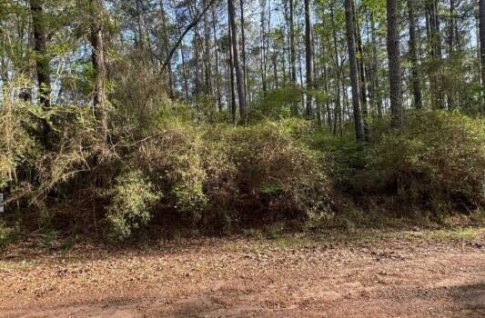 11,543 Sqft Land in Hemphill TX